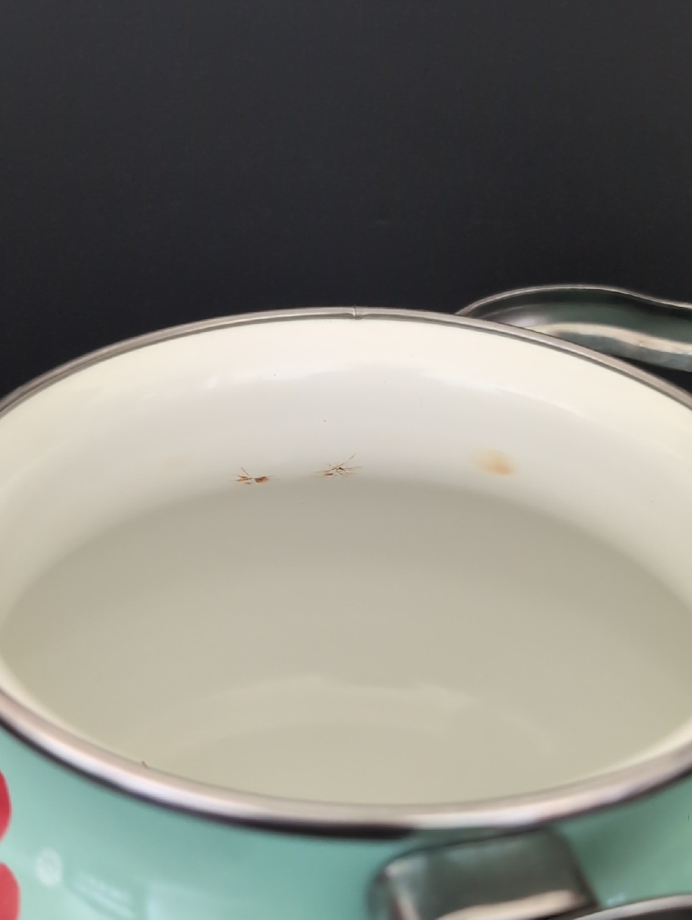 The Pioneer Woman Enamel/Steel Breezy Blossom Turquoise Tea Pot. - Picture 7 of 11